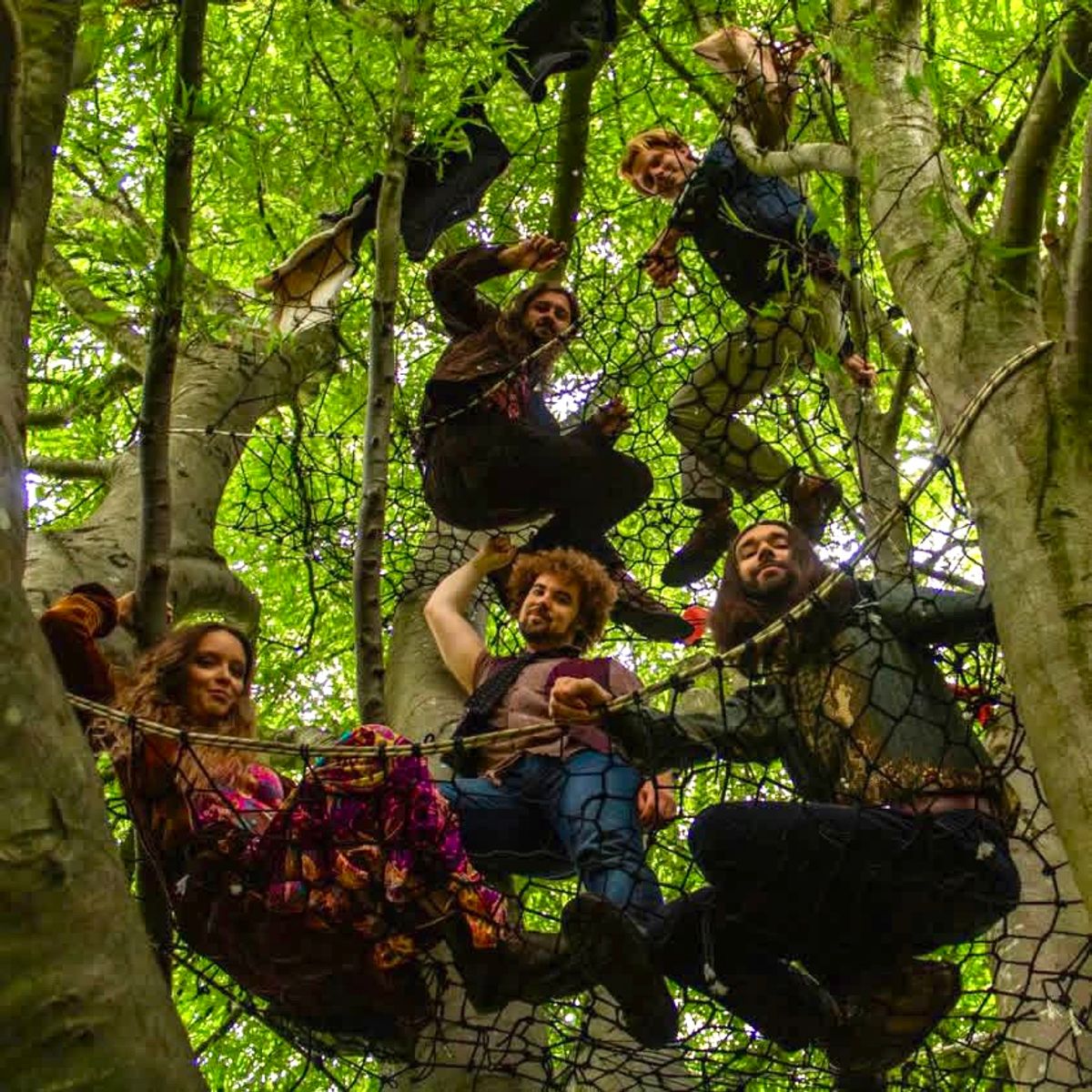Building in the Canopy